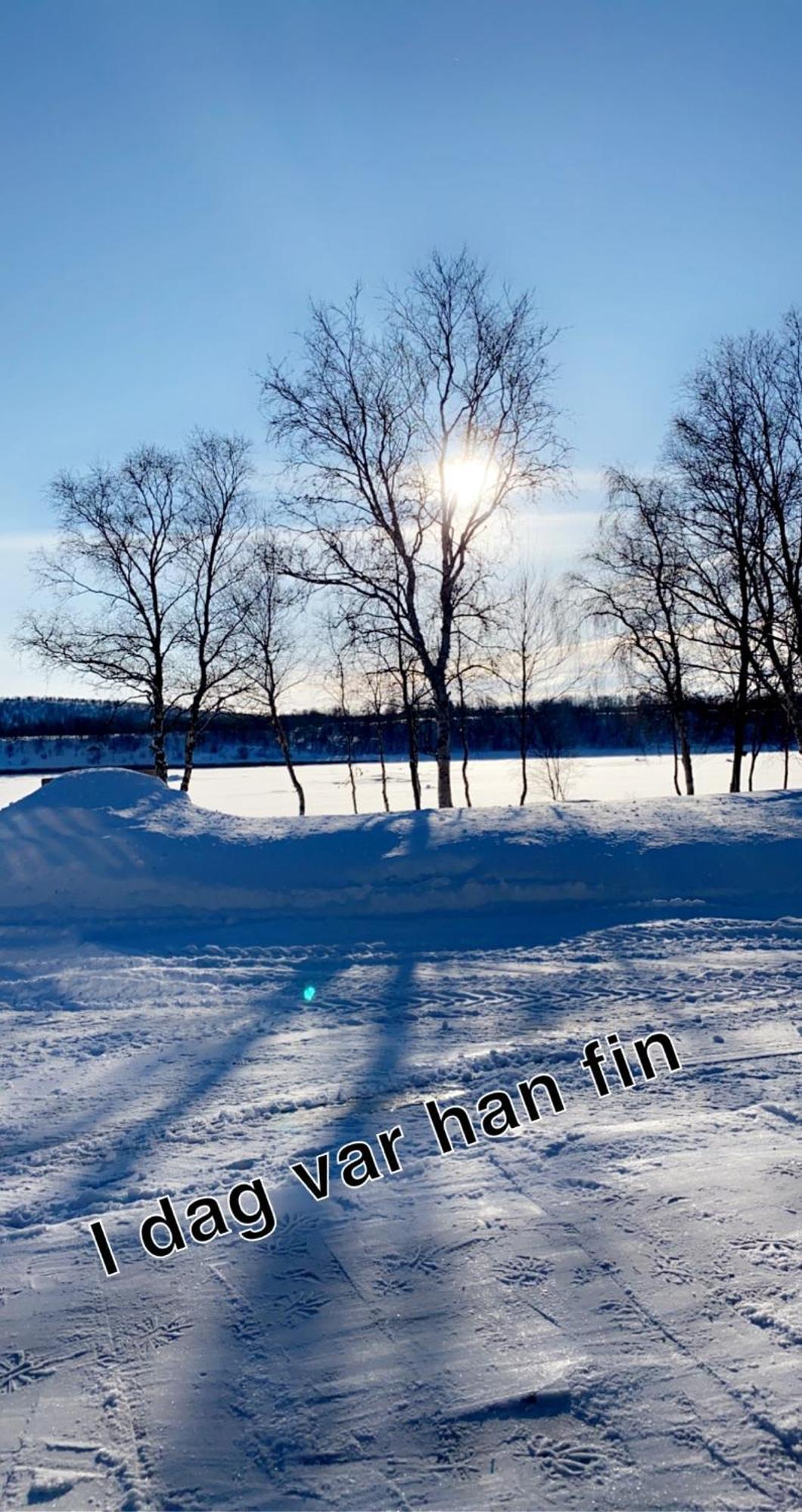 Cottage With Good Standard Next To Neiden River Exterior foto